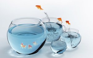 数据分析的视觉化解读：一张图看懂